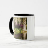 Mug États-Unis, Caroline du Sud, Charleston. Cyprès (Devant gauche)