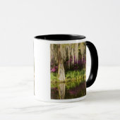 Mug États-Unis, Caroline du Sud, Charleston. Cyprès (Devant droit)