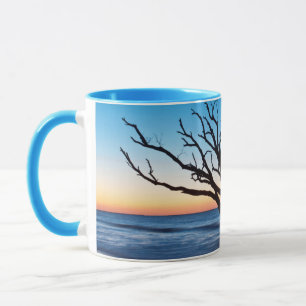 Mug États-Unis, Caroline du Sud, Edisto Island, Botany