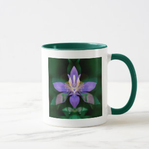 Mug États-Unis, Colorado, comté de Boulder