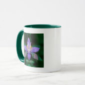 Mug États-Unis, Colorado, comté de Boulder (Devant gauche)