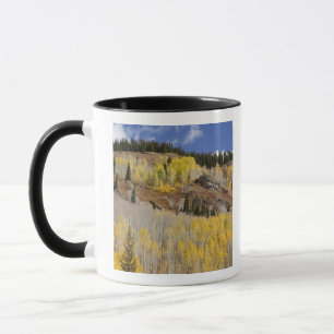 Mug États-Unis, Colorado, Forêt nationale de Gunnison,