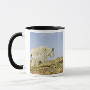 Mug États-Unis, Colorado, Montagnes Rocheuses, mont Ev