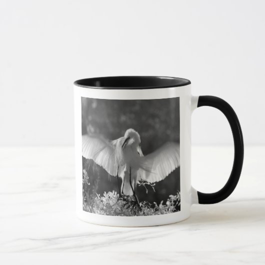 Mug États-Unis, Floride, Grande Aigrette (Ardea alba) (Droite)