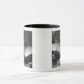 Mug États-Unis, Floride, Grande Aigrette (Ardea alba) (Centre)
