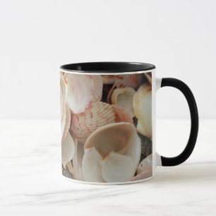 Mug États-Unis, Floride. Gros plan sur des coquillages