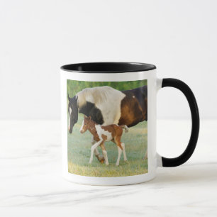 Mug États-Unis, Floride, Poulain Paint nouveau-né