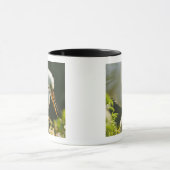 Mug États-Unis, Floride, St. Augustine, Ferme d'alliga (Centre)