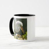 Mug États-Unis, Floride, St. Augustine, Ferme d'alliga (Devant gauche)
