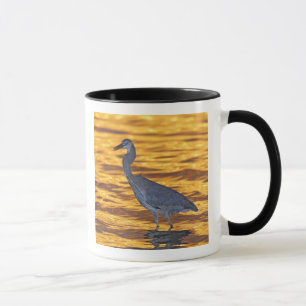 Mug États-Unis, Floride, St. Petersburg, Fort De Soto
