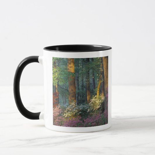 Mug États-Unis, Géorgie, Callaway Gardens, forêt d'Aza (Gauche)