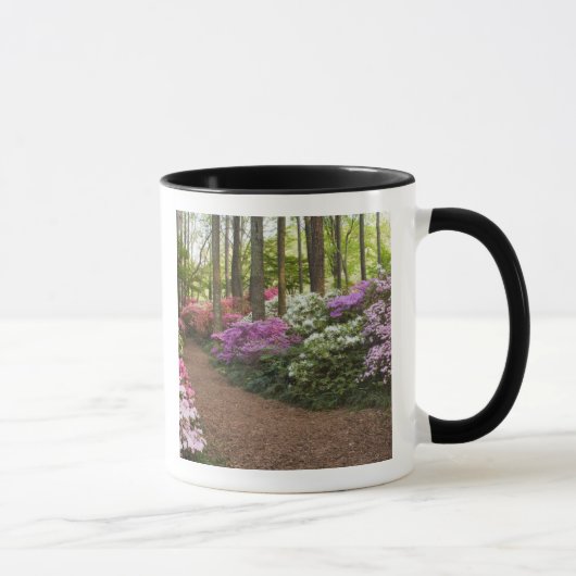 Mug États-Unis, Géorgie, Pine Mountain. Un chemin à tr (Droite)