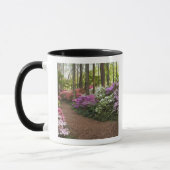 Mug États-Unis, Géorgie, Pine Mountain. Un chemin à tr (Gauche)