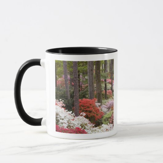 Mug États-Unis, Géorgie, Pine Mountain. Une forêt de (Gauche)