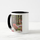Mug États-Unis, Géorgie, Pine Mountain. Une forêt de (Devant gauche)
