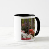 Mug États-Unis, Géorgie, Pine Mountain. Une forêt de (Devant droit)