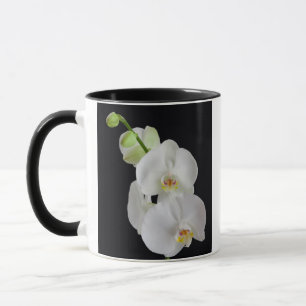 Mug États-Unis, Géorgie, Savannah, Groupe d'orchidées