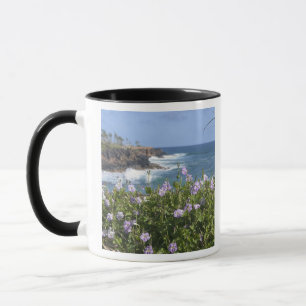Mug États-Unis, Hawaï, Kauai, près de Kapaa, nord-oues