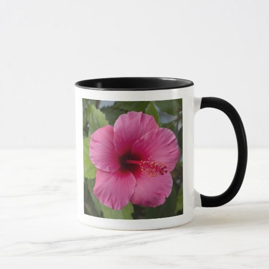Mug États-Unis, Hawaï, Oahu. L'Hibiscus est le 2 (Droite)