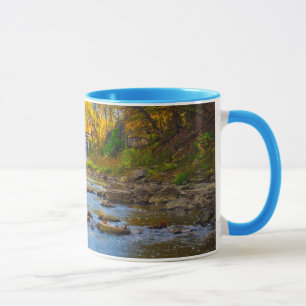 Mug États-Unis, Indiana. Cataract Falls State Recreati