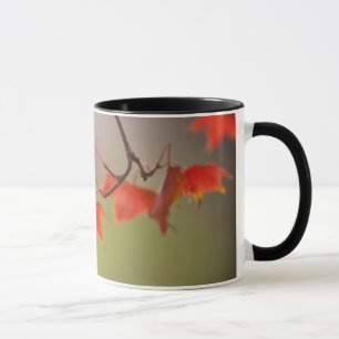 Mug États-Unis, Kansas, Feuilles Rouges Au Début De L'