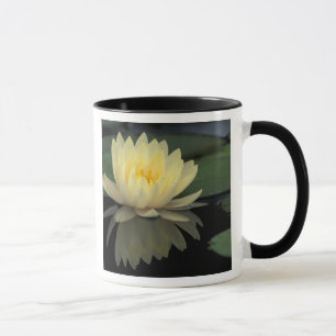 Mug États-Unis, Kentucky, Louisville Nénuphar domestiq