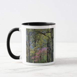 Mug États-Unis, Kentucky, Louisville.Redbuste orienta