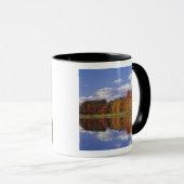 Mug États-Unis, Massachusetts, Acton. Reflet de l'auto (Devant droit)