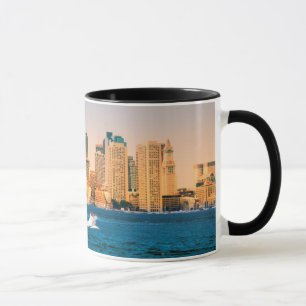 Mug États-Unis, Massachusetts. Panorama du front de me