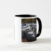 Mug États-Unis, Michigan, Haute Péninsule. Bond Falls  (Devant droit)