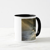 Mug États-Unis, Michigan, Upper Peninsula. Rayons de s (Devant droit)