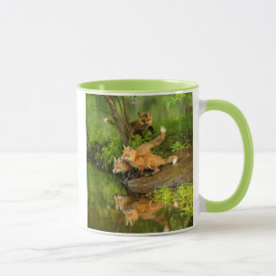 Mug États-Unis, Minnesota, Sandstone, faune du Minneso