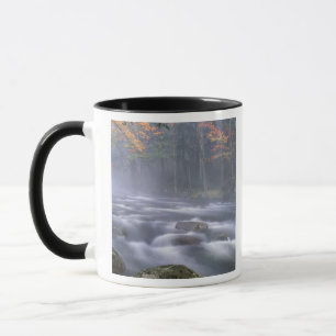 Mug États-Unis, New York, Adirondacks, Big Moose River