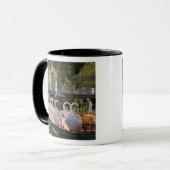 Mug États-Unis, Nouvelle-Angleterre, Massachusetts, Bo (Devant gauche)