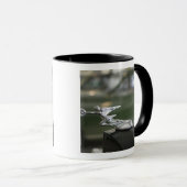 Mug États-Unis, Ohio, Dayton: Musée Packard d'Amérique (Devant droit)