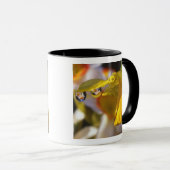 Mug États-Unis, Oregon, Comté de Multnomah, Gros plan (Devant droit)
