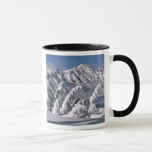 Mug États-Unis, Oregon, Crater Lake NP. Les arbres plo