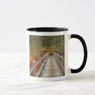 Mug États-Unis, Oregon, Forêt nationale de Willamette.