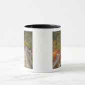 Mug États-Unis, Oregon, Forêt nationale de Willamette. (Centre)