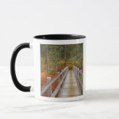 Mug États-Unis, Oregon, Forêt nationale de Willamette. (Gauche)