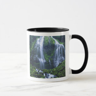 Mug États-Unis, Oregon, Forêt nationale de Willamette.