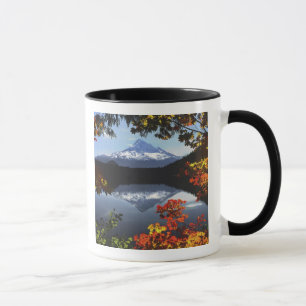 Mug États-Unis, Oregon, Forêt nationale du mont Hood.