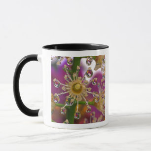Mug États-Unis, Oregon, Portland. Fleurs de cosmos se