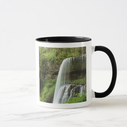 Mug États-Unis, Oregon, Silver Falls State Park. Infér (Droite)