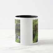 Mug États-Unis, Oregon, Silver Falls State Park. Infér (Centre)