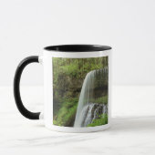 Mug États-Unis, Oregon, Silver Falls State Park. Infér (Gauche)