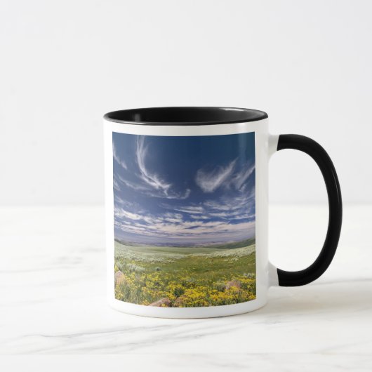 Mug États-Unis, Oregon, Steens Mountain. Le printemps (Droite)