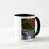 Mug États-Unis, Redmond, Washington. Couleur d'automne (Devant droit)