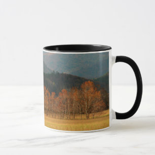 Mug États-Unis, Tennessee. Cades Cove dans Smoky Mount