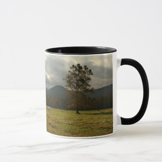 Mug États-Unis, Tennessee. Cheval Dans La Vallée De Ca (Droite)
